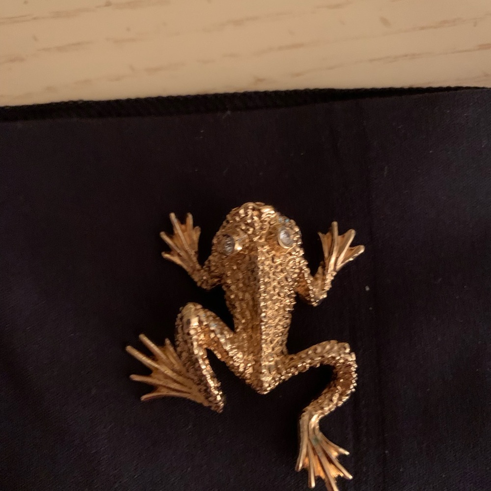 St. John beautiful frog pin
